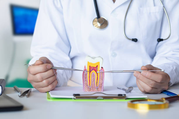 Best Emergency Root Canal Treatment in Alameda, CA